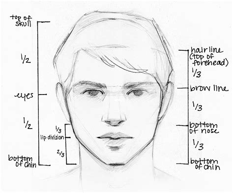 Image result for Portrait Drawing Tutorial