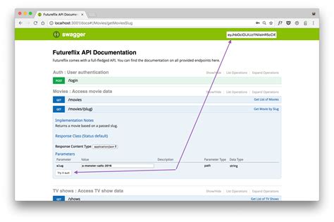 Toradh íomhá ar API Documentation Example