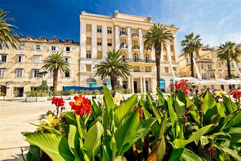 Image result for Split