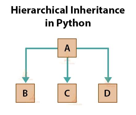 Image result for Inheritance in Python Simple Diagram