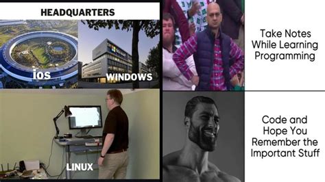 Image result for Computer Programming Memes