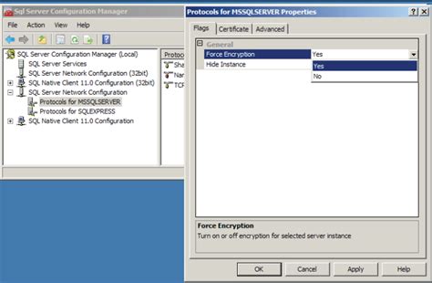 Image result for SQL Management Studio SSL