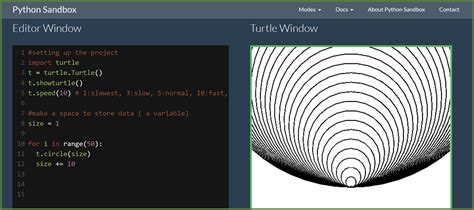 Image result for Turtle Python
