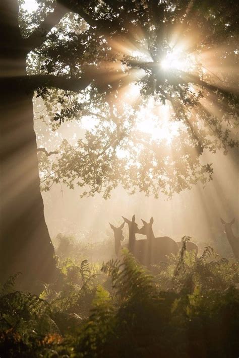 See more like this. - Lifespire