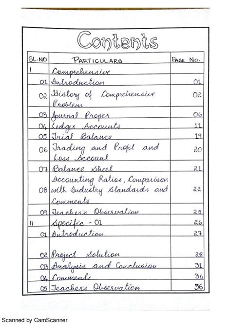 Image result for Class 12 Project File