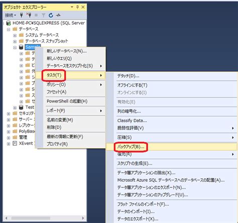 Project SQL Backup に対する画像結果