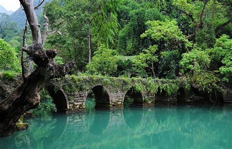 Image result for Raw Bridge