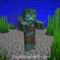 תוצאת תמונה עבור Minecraft Drowned Spawn