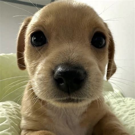 (@0712shin) • Instagram photos and videos