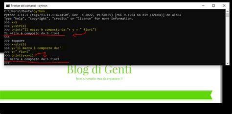 What Is STR in Python に対する画像結果