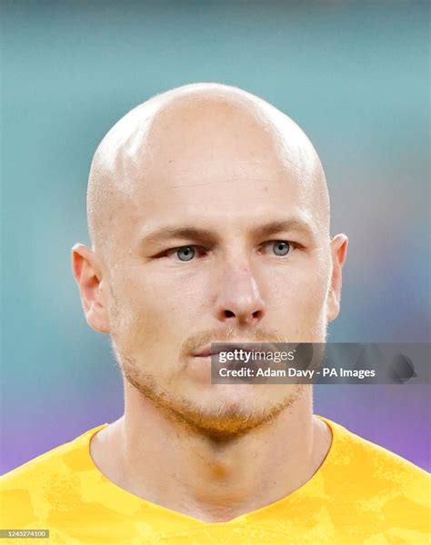 Bildergebnis für Moooy