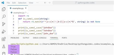Image result for How to Check the Format of a String in Python
