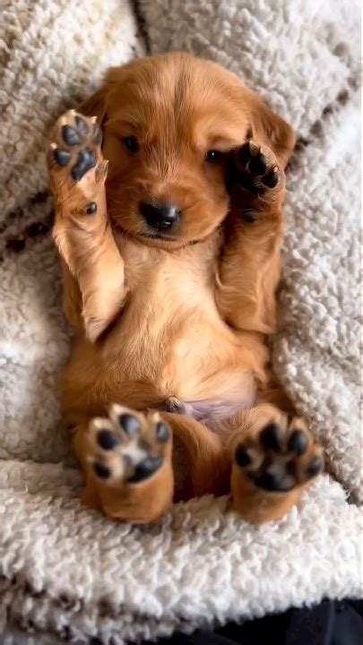 Good Morning 😘😍😍 Just wake up 🥰🥰🥰 - YouTube