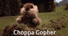 Image result for Screaming Gopher GIF