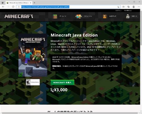 Image result for Minecraft Java
