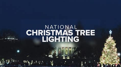 Image result for Christmas Tree Lighting