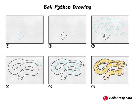 Image result for ball python beginners