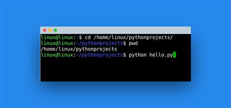 Python Terminal に対する画像結果