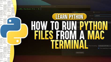 Python Terminal に対する画像結果