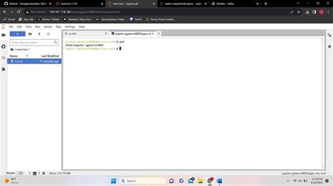 Toradh íomhá ar Convert Markdown Todocx Python