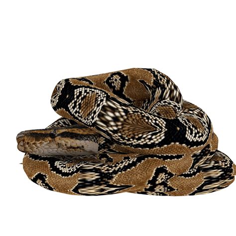 Python 3D Model に対する画像結果