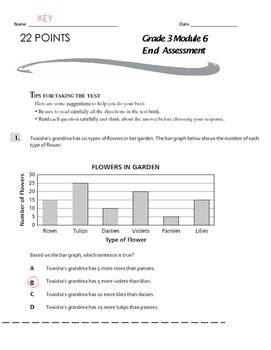 Bildergebnis für Module 4 End of Module Assessment Task Grade 6