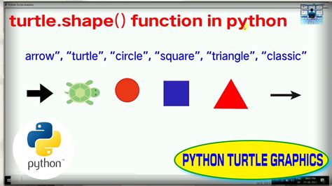 Image result for Turtle Shape Python