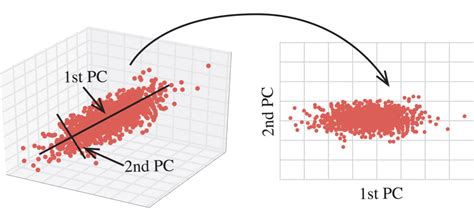 Image result for Dimensionality Reduction Using PCA