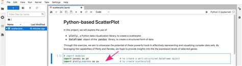 Toradh íomhá ar Code Cell vs Text Cell in Python