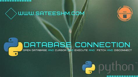 Image result for Python Database API