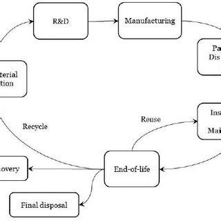 Image result for Life Cycle Examples