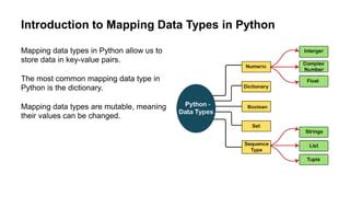 Data Mapping in Python に対する画像結果