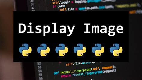 Python Image Tutorial に対する画像結果