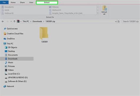 Image result for Program Files Extraction