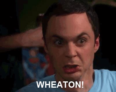 Image result for Sheldon Cooper Will Wheaton