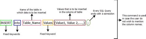 insert command in sql に対する画像結果