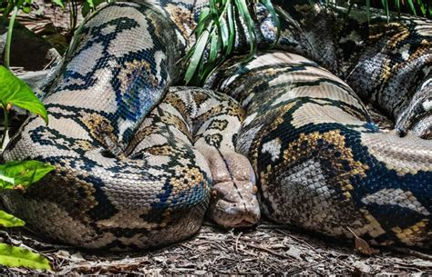 Toradh íomhá ar Exemple De Script Python