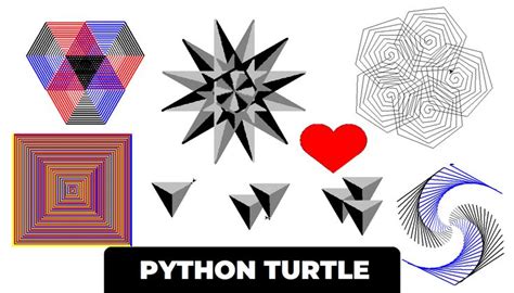Image result for Turtle Shape Python