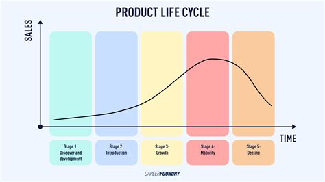 Image result for Life Cycle Examples