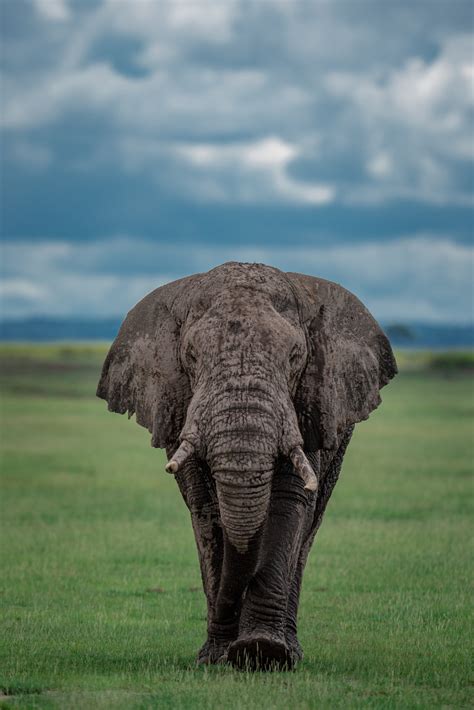 Toradh íomhá ar Statistics PostgreSQL