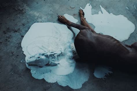 Alien Belly Short Films के लिए छवि परिणाम