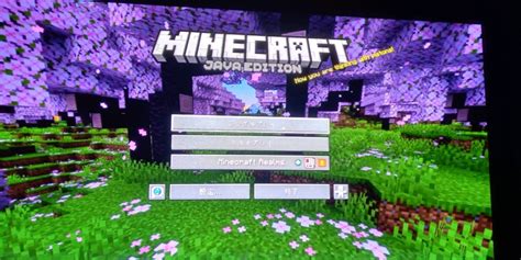 Image result for Minecraft Java Cloud Gaming