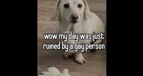 Afbeeldingsresultaten voor Click Nice Download