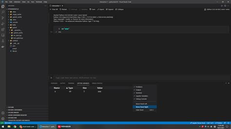 Create a Variable Python Visual Studio Code に対する画像結果