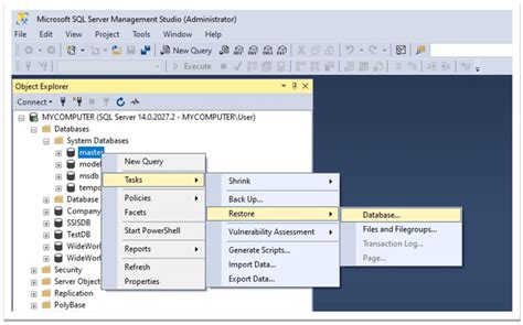 SQL Management Server Single User DB に対する画像結果