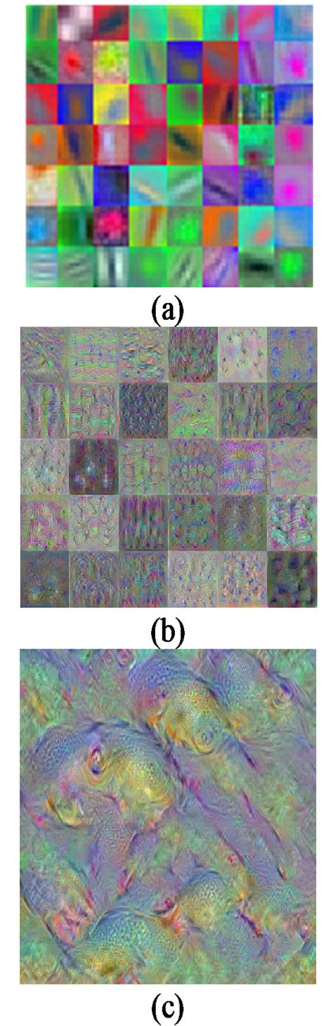 Image result for Convolution Feature Extraction