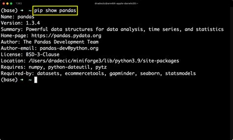 Import Specific Version of Package Python に対する画像結果
