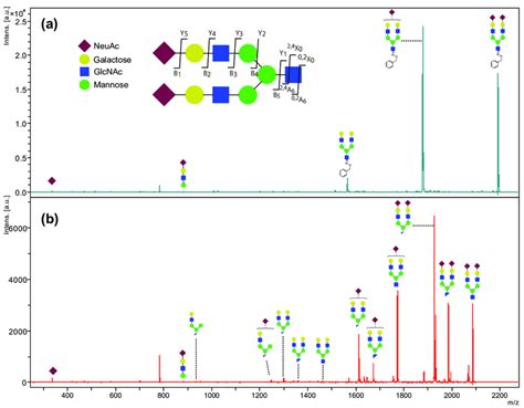 Toradh íomhá ar Random Walk Pattern