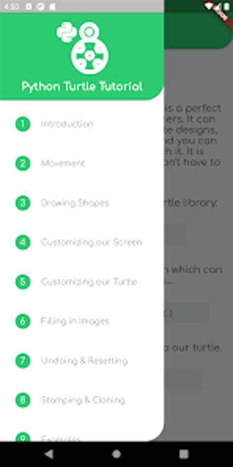 Image result for Turtle Python