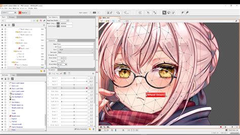 Image result for python live 2d